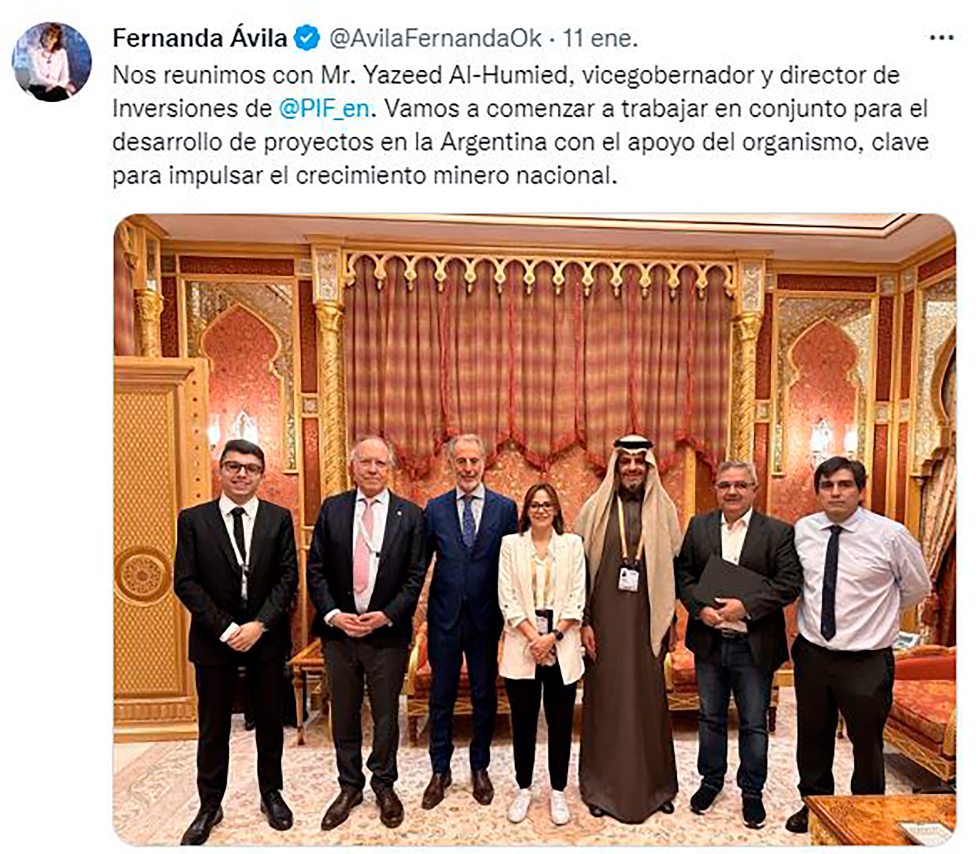 Fernanda Ávila, secretaria de Minería de la Nación, en Arabia. A su derecha, el secretario de Relaciones Económicas Internacionales de la Cancillería, Jorge Neme, y el embajador argentino en el reino saudí, Guillermo Nielsen. 