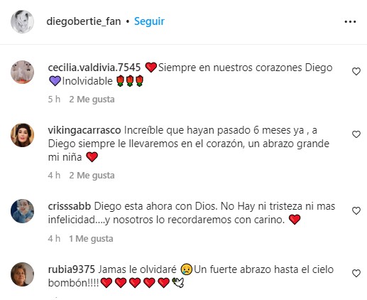 Fans de Diego Bertie lo recuerdan. (Instagram)