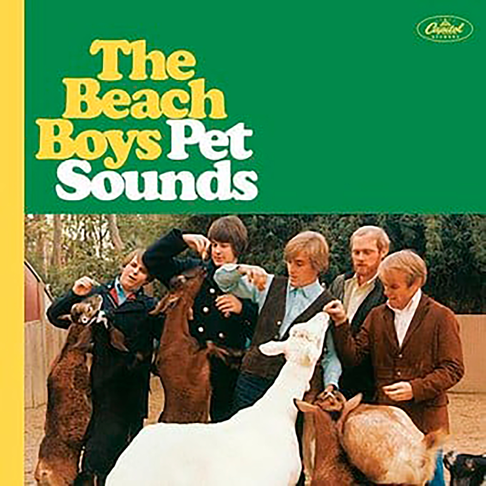 Pet Sounds fue la obra maestra de Brian Wilson y los Beach Boys. Fue el último proyecto en muchos años en ser producido exclusivamente por Brian Wilson. Después empezó su pronunciada caída