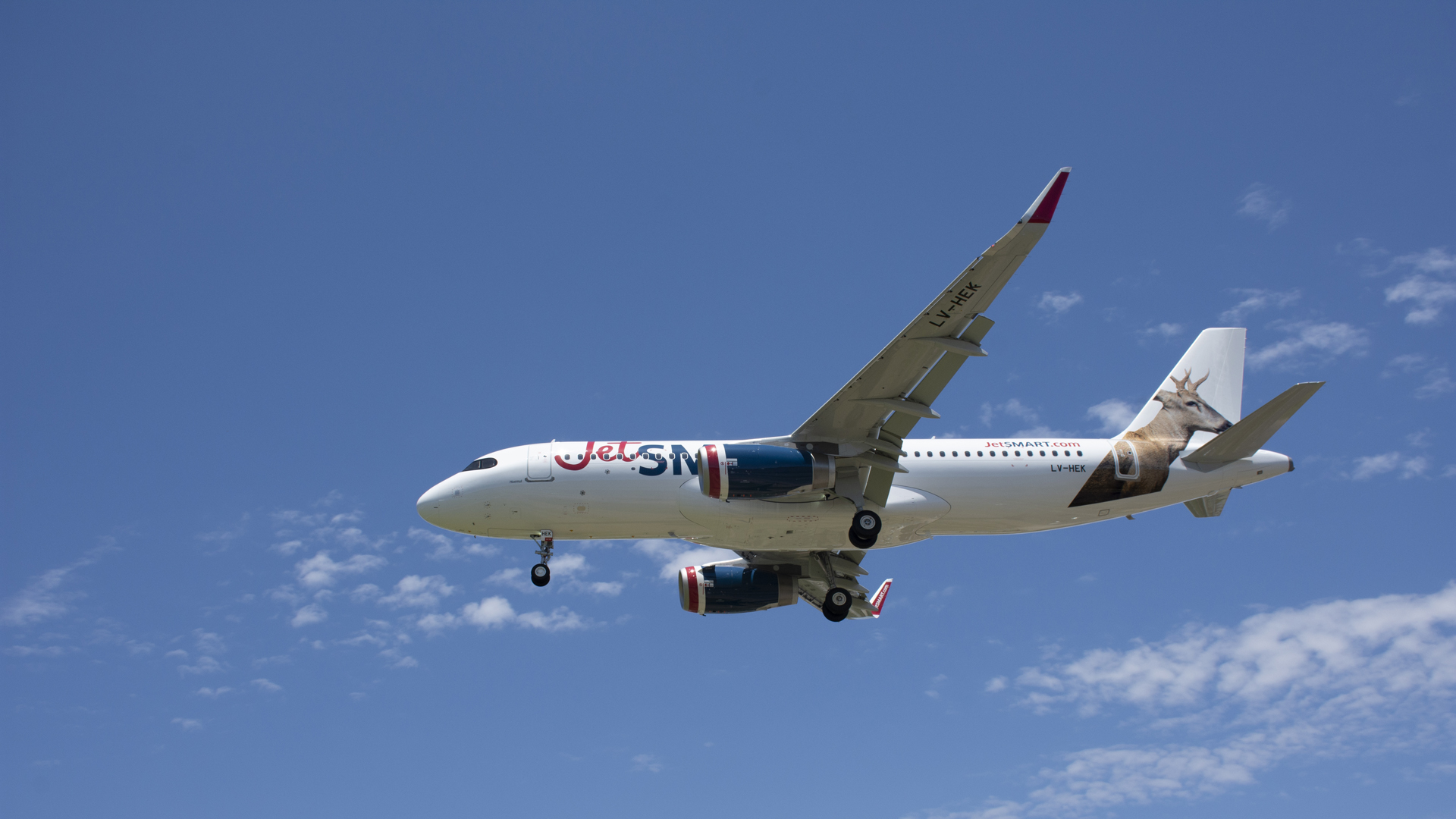 JetSmart se refirió al anuncio de Avianca de desistir de la integración con Viva Air: “Hay que minimizar los riesgos de la concentración de mercado en un solo operador”