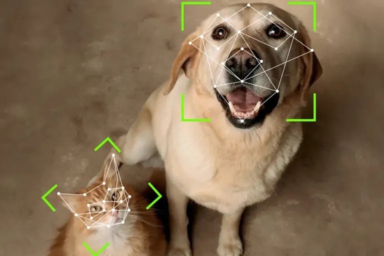 Sistema que tiene reconocimiento facial para mascotas. (foto: YouTube/Petvation)