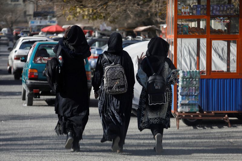 EEUU y la UE reclamaron a los talibanes abolir el veto que prohíbe a las mujeres trabajar en ONG