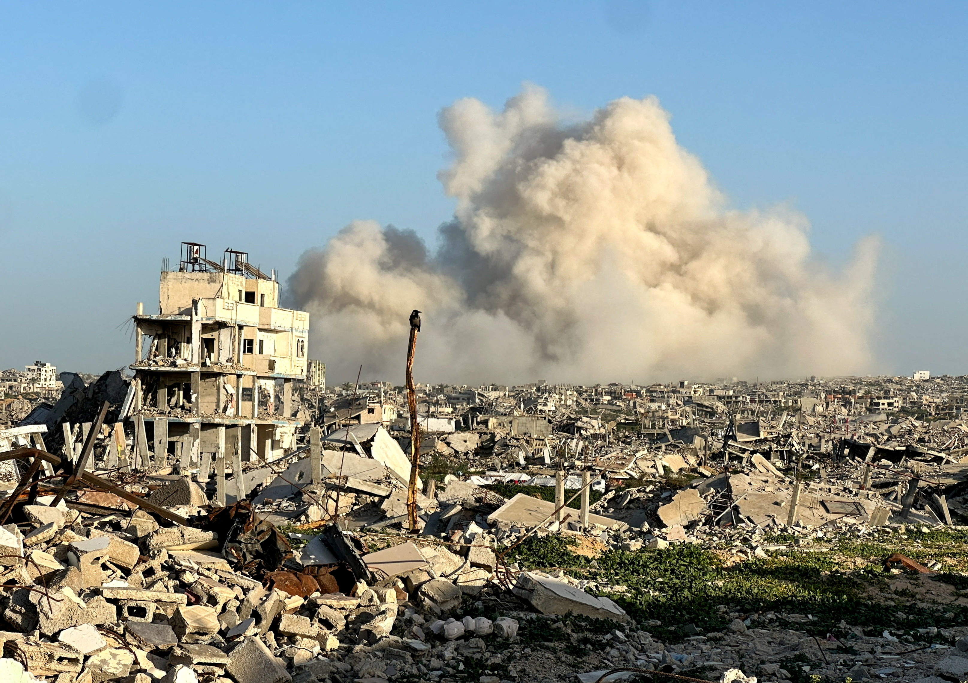 Fernando Straface: “El acuerdo con la Unión Europea sacó al Mercosur de la terapia intensiva”