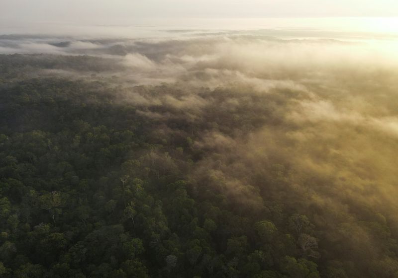 Una vista aérea muestra árboles y niebla en la selva amazónica en Manaos, estado de Amazonas, Brasil. 26 de octubre, 2022. REUTERS/Bruno Kelly/Archivo