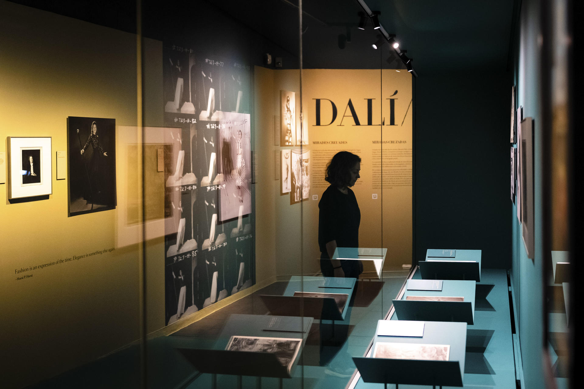 Científicos investigan un impacto inesperado del aumento de dióxido de carbono en los árboles