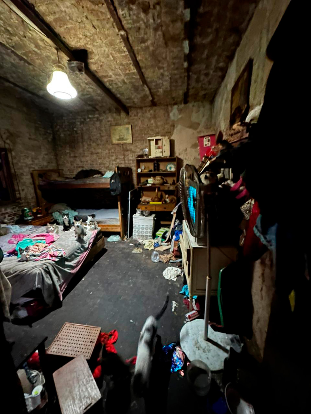 Jubilaciones, pensiones y asignaciones: oficializaron los aumentos que regirán a partir de enero 