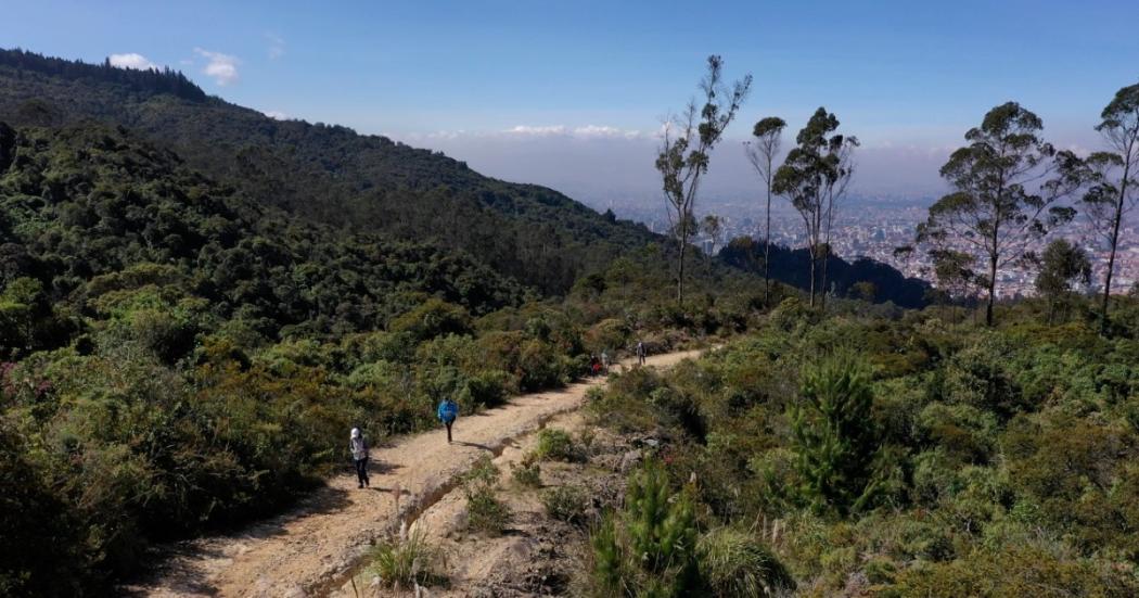 Por elecciones presidenciales, Distrito cerrará senderos ecológicos de los cerros orientales de Bogotá