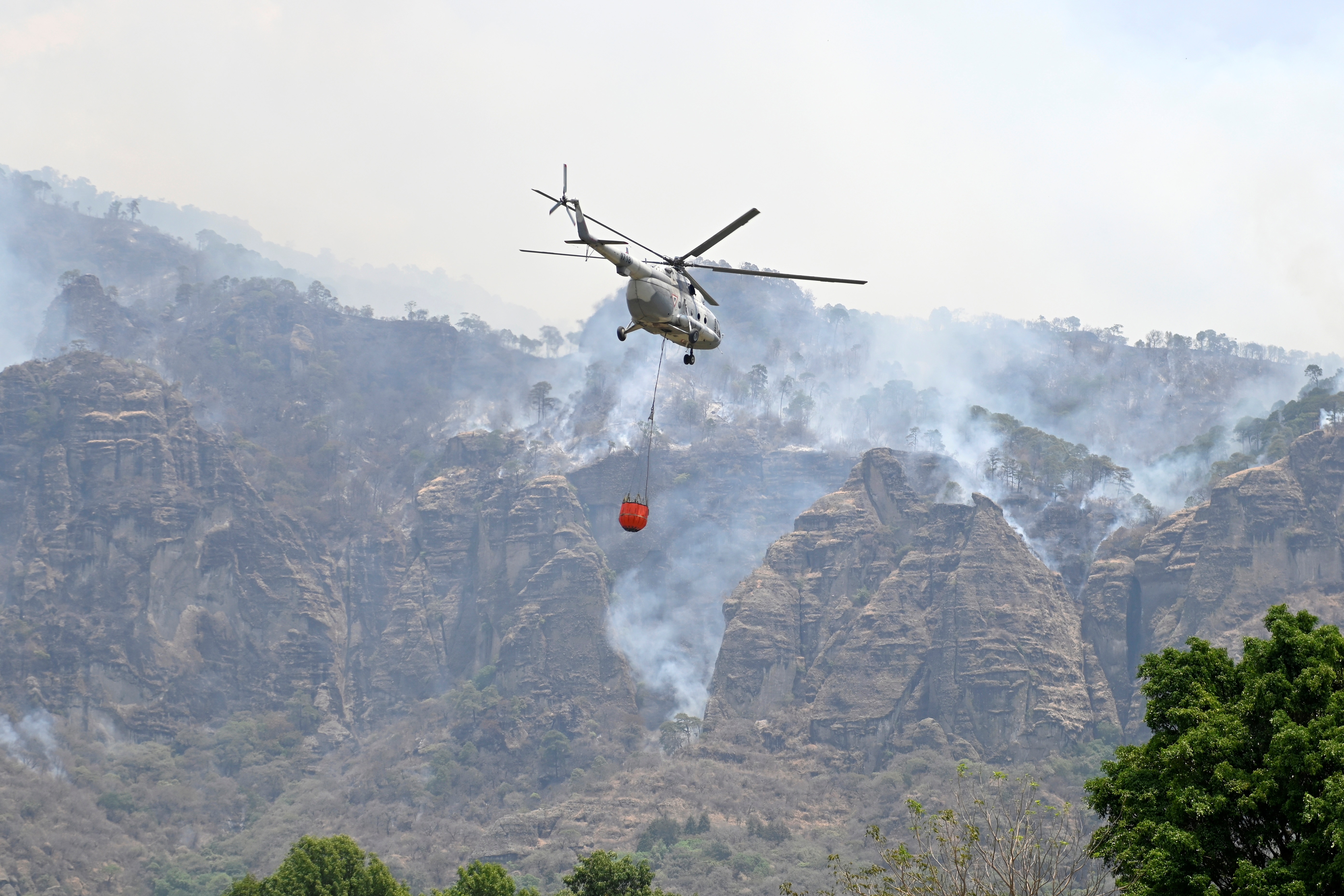 Alertan por más de 800 incendios forestales en la CDMX esta temporada de calor