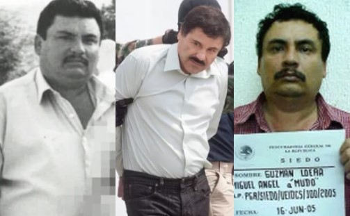 Al menos dos hermanos del Chapo estarían vinculados con la cúpula del Cártel de Sinaloa (Archivo) 