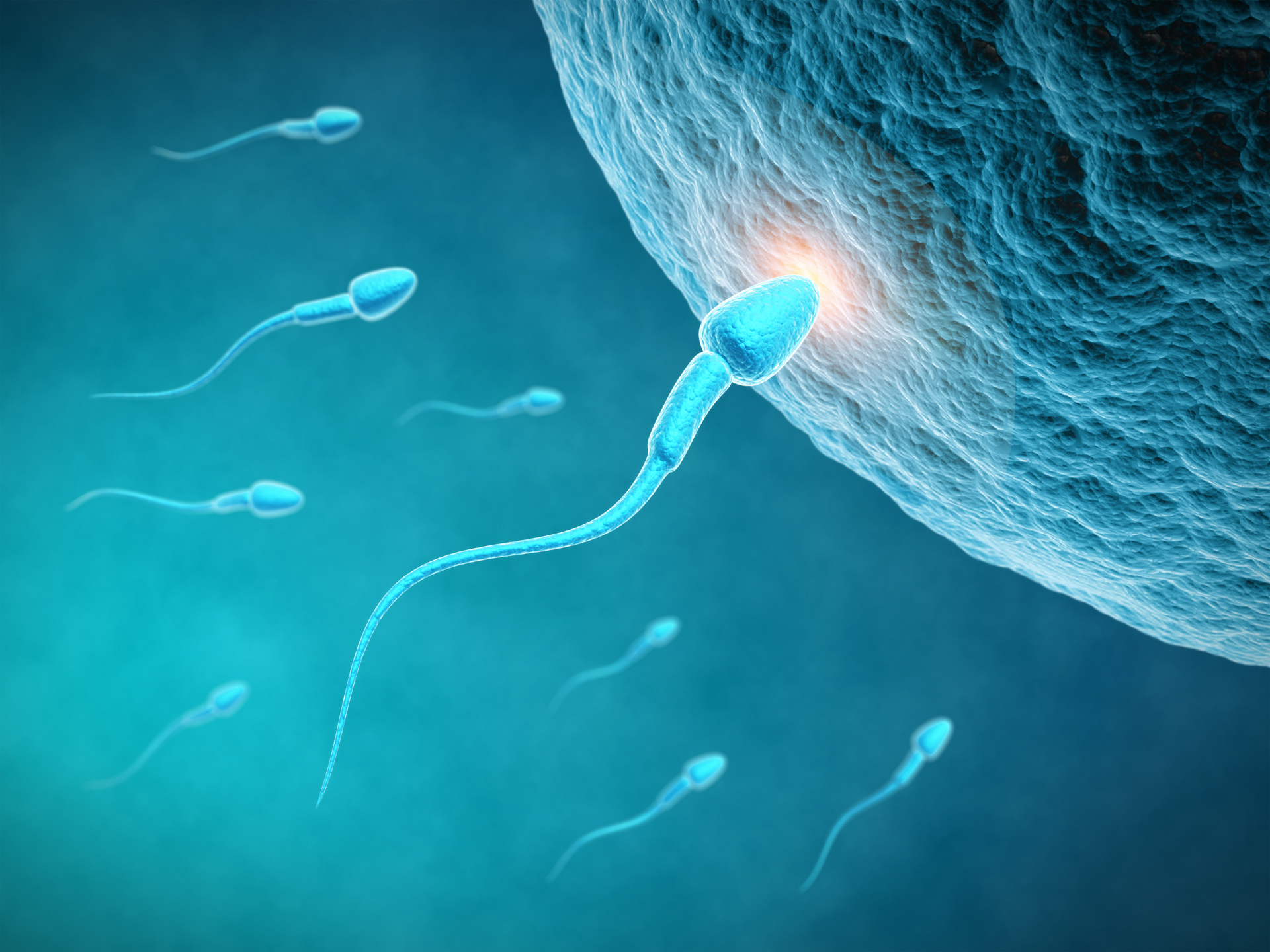 "Detectamos una disminución en el número de espermatozoides", dijo el especialista (Getty Images)