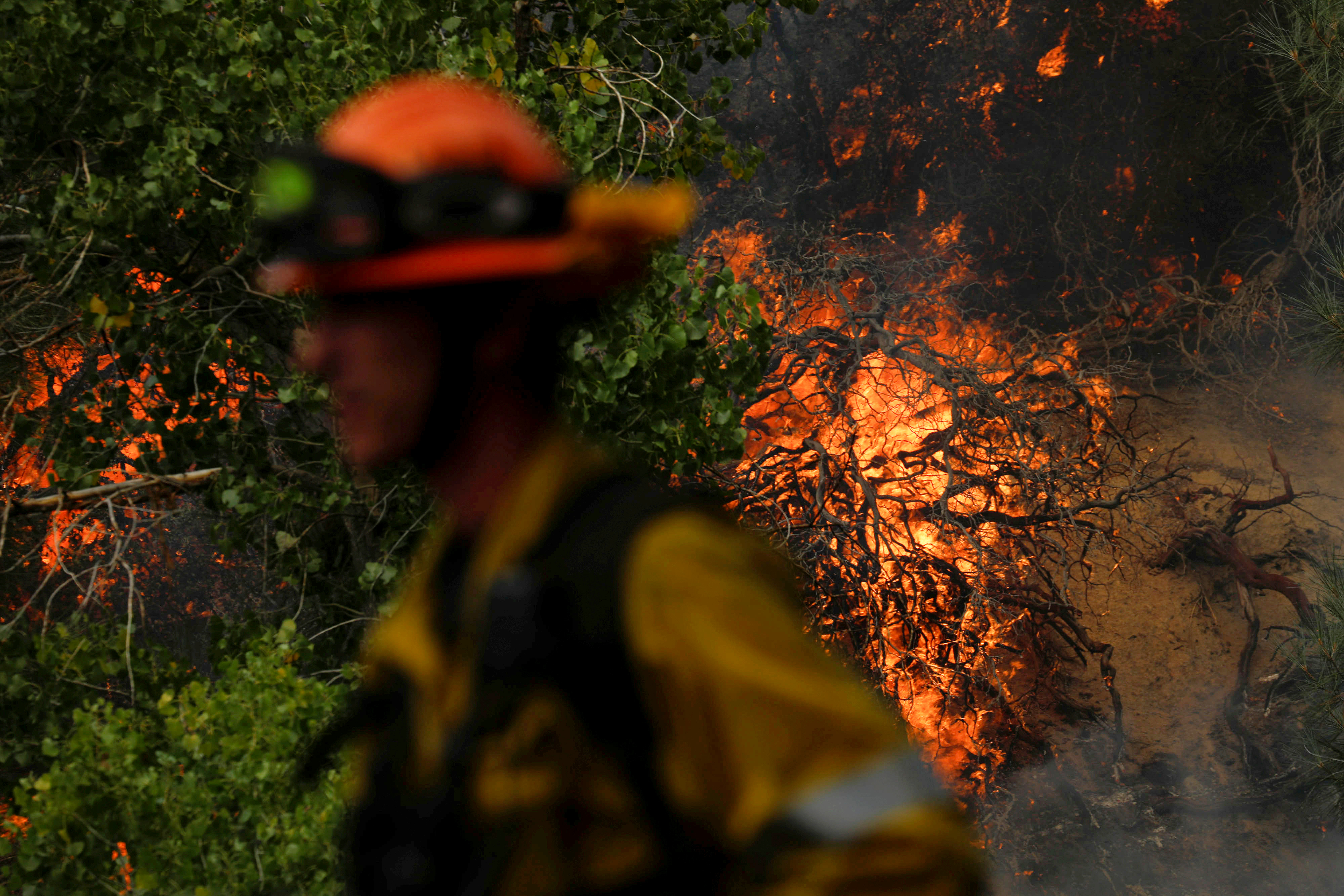Un bombero monitorea un foco puntual mientras un incendio forestal de rápido movimiento, llamado Lake Fire, arde en un área montañosa del Bosque Nacional Ángeles al norte de Los Ángeles, California (Reuters)