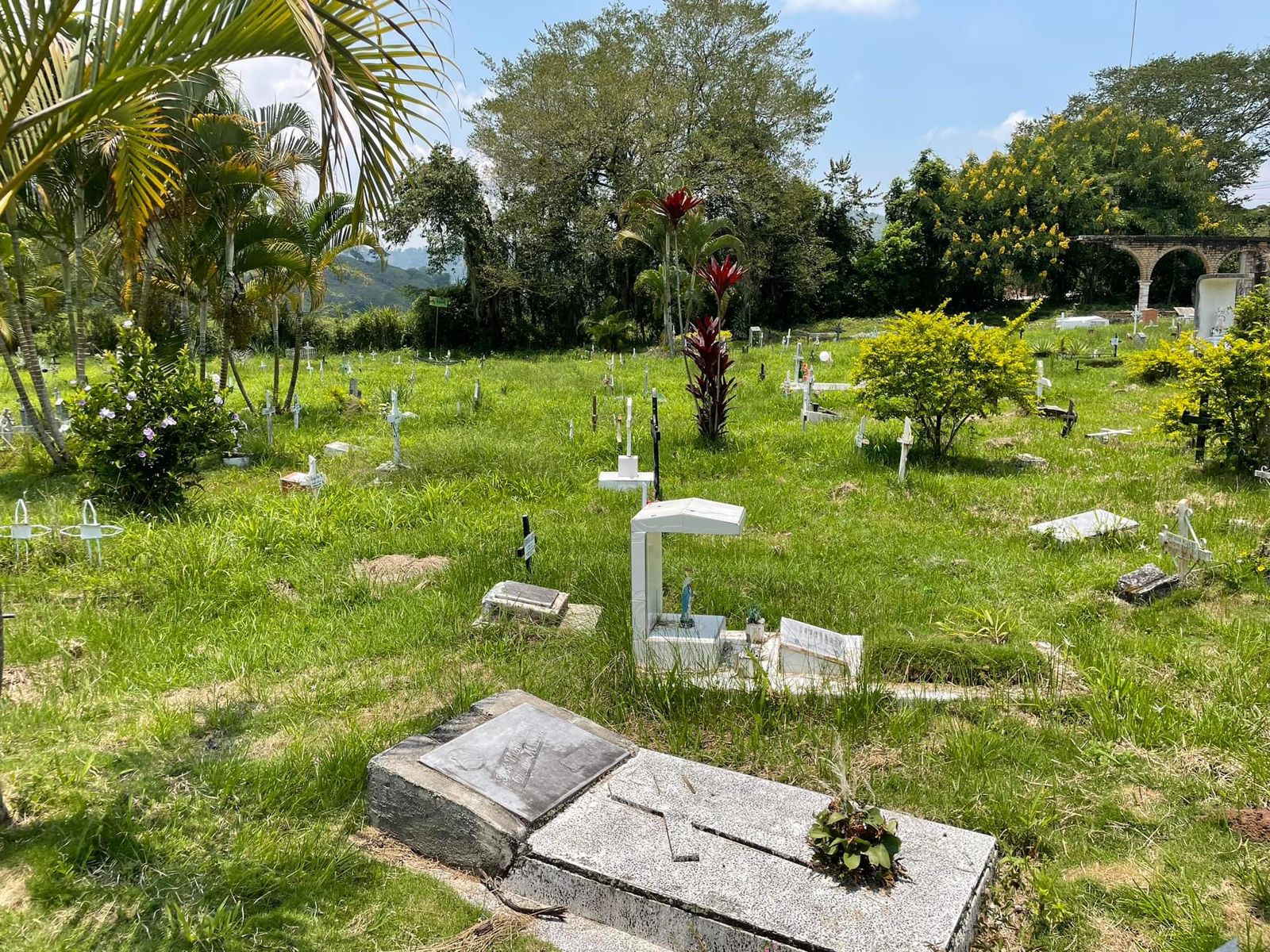 Robaron el cuerpo sin vida de un joven de 22 años de un cementerio en el Huila
