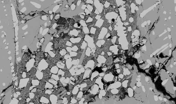 El material hallado visto bajo el microscopio (Universidad del Sur de la Florida)