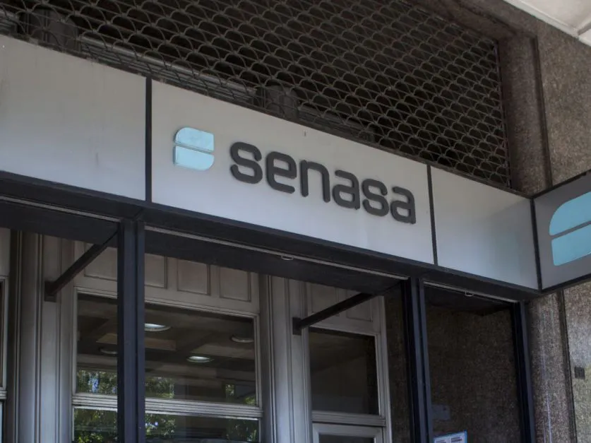 Designaron a la nueva titular del Senasa tras la renuncia de Pablo Cortese en medio de la tensión con los laboratorios