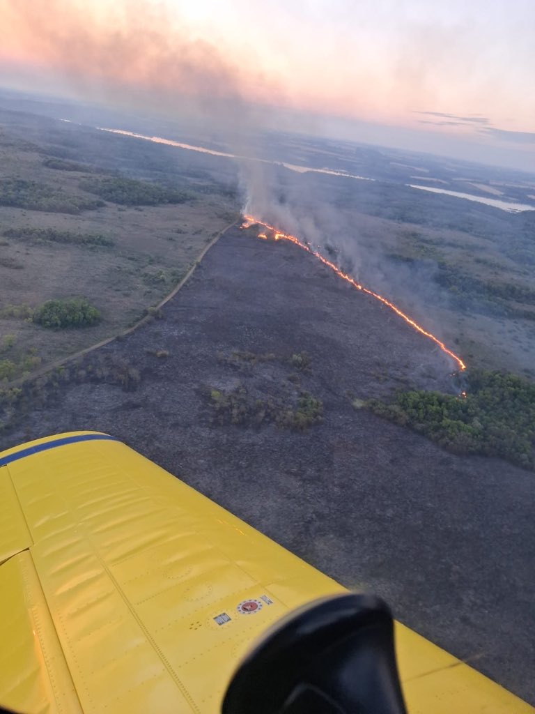 Incendio en Misiones: desplegaron un operativo para combatir el avance del fuego en la reserva Campo San Juan