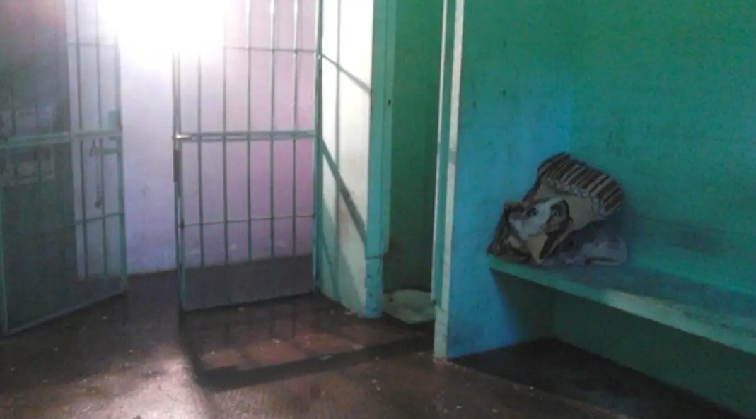 Robaron un auto en Mar del Plata con una bebé de tres meses dentro: detuvieron a un adolescente