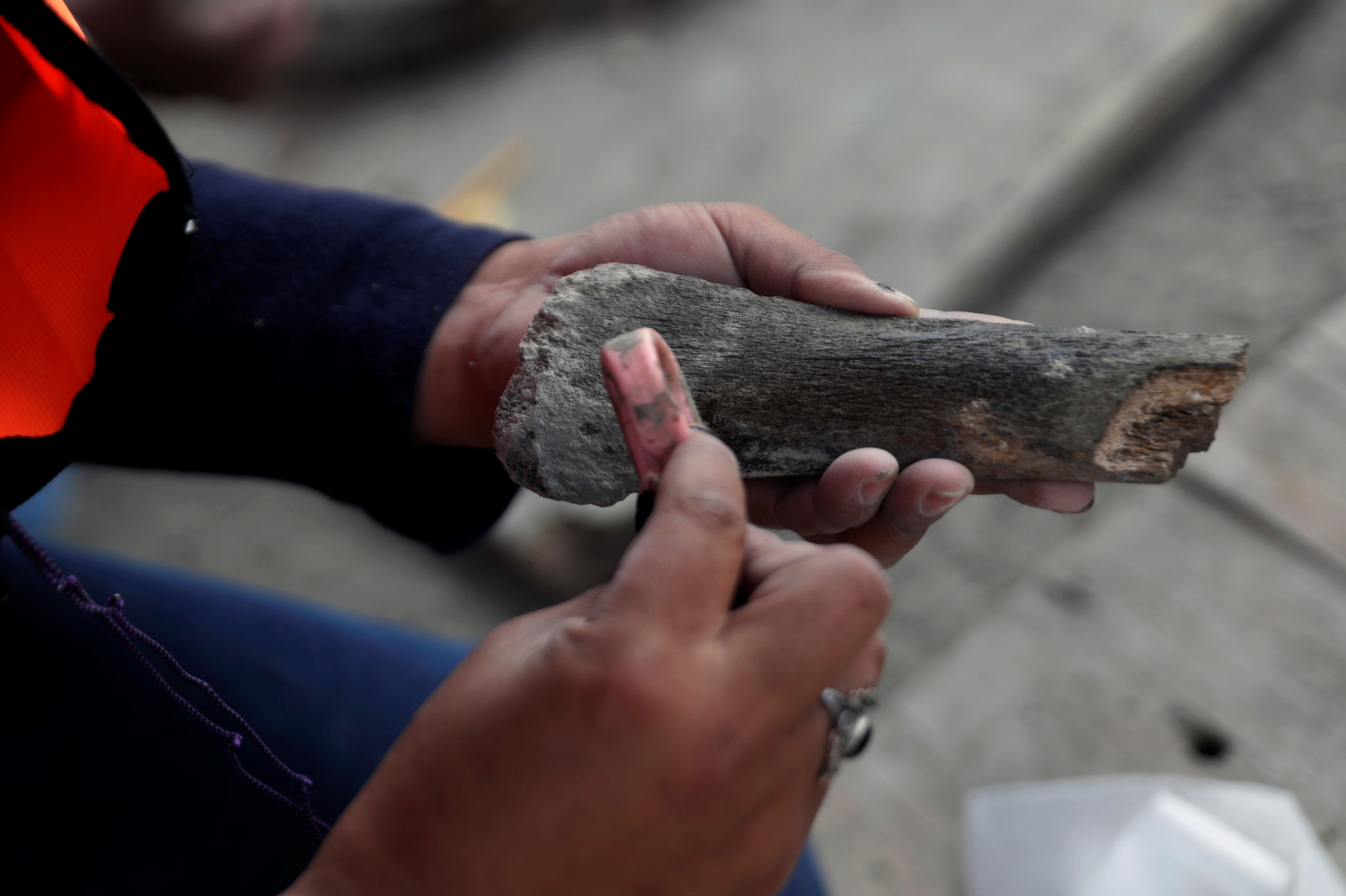 Más de 100 esqueletos de mamut han sido identificados repartidos en casi 200 sitios de excavación, junto con una mezcla de otros mamíferos de la Edad de Hielo, en el área destinada a convertirse en el nuevo terminal aéreo de la capital mexicana.