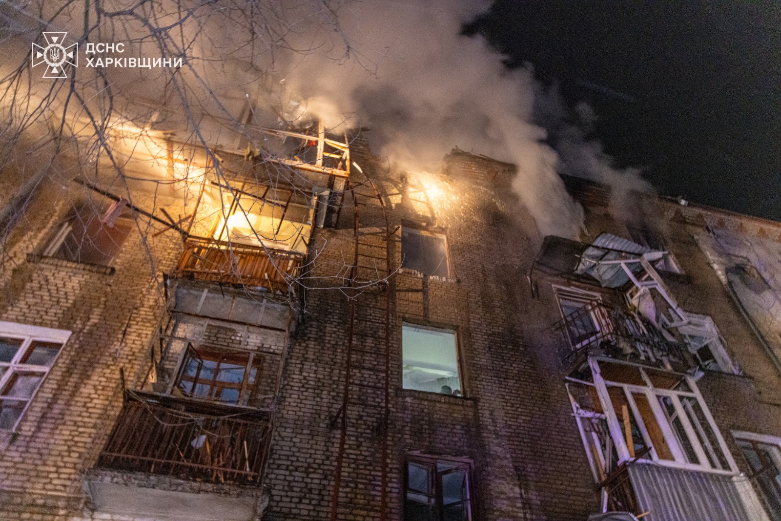 Antes de las extraordinarias, Milei retoma la agenda política local y desembarca en Mar del Plata con Santilli