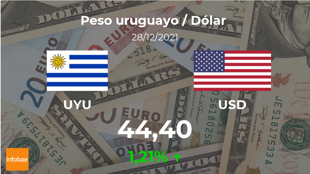 Dolor Vamos lámpara Dólar hoy en Uruguay: cotización del peso uruguayo al dólar estadounidense  del 28 de diciembre. USD UYU - Infobae