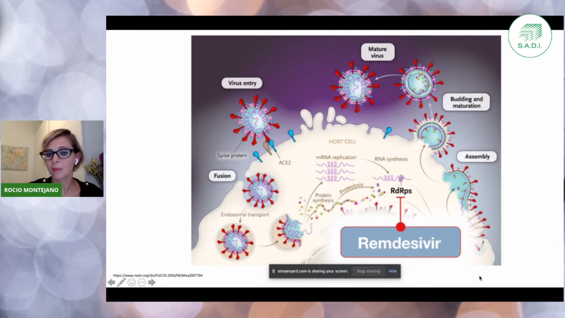 Remdesivir actúa engullendo una enzima que algunos virus, incluido el SARS-CoV-2, utilizan para replicarse. En febrero, los investigadores demostraron que el fármaco reduce la infección viral en células humanas cultivadas en un laboratorio 