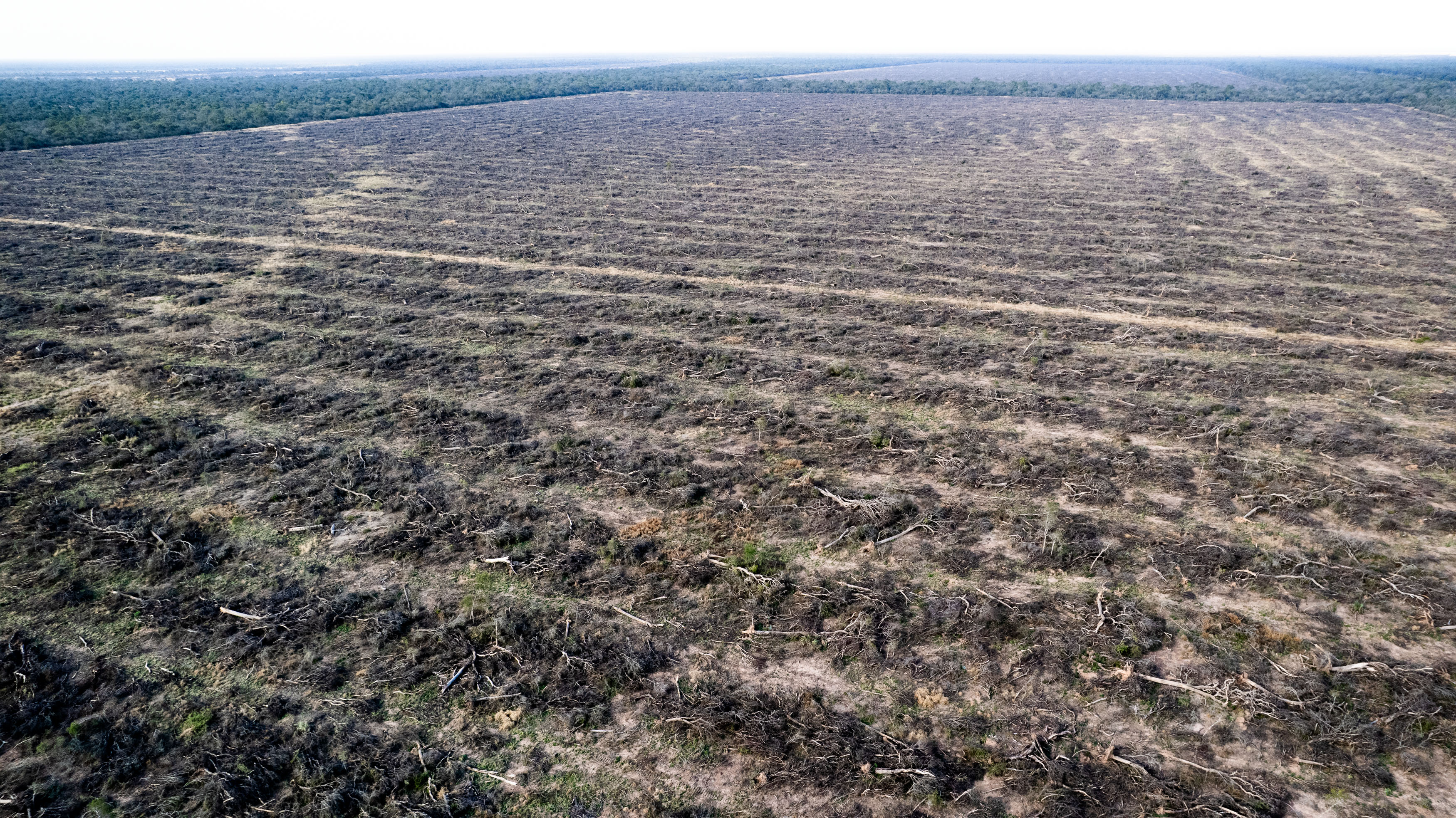 La crítica a Colapinto de un campeón de la F1 por su continuidad en Alpine y la feroz respuesta de los fanáticos