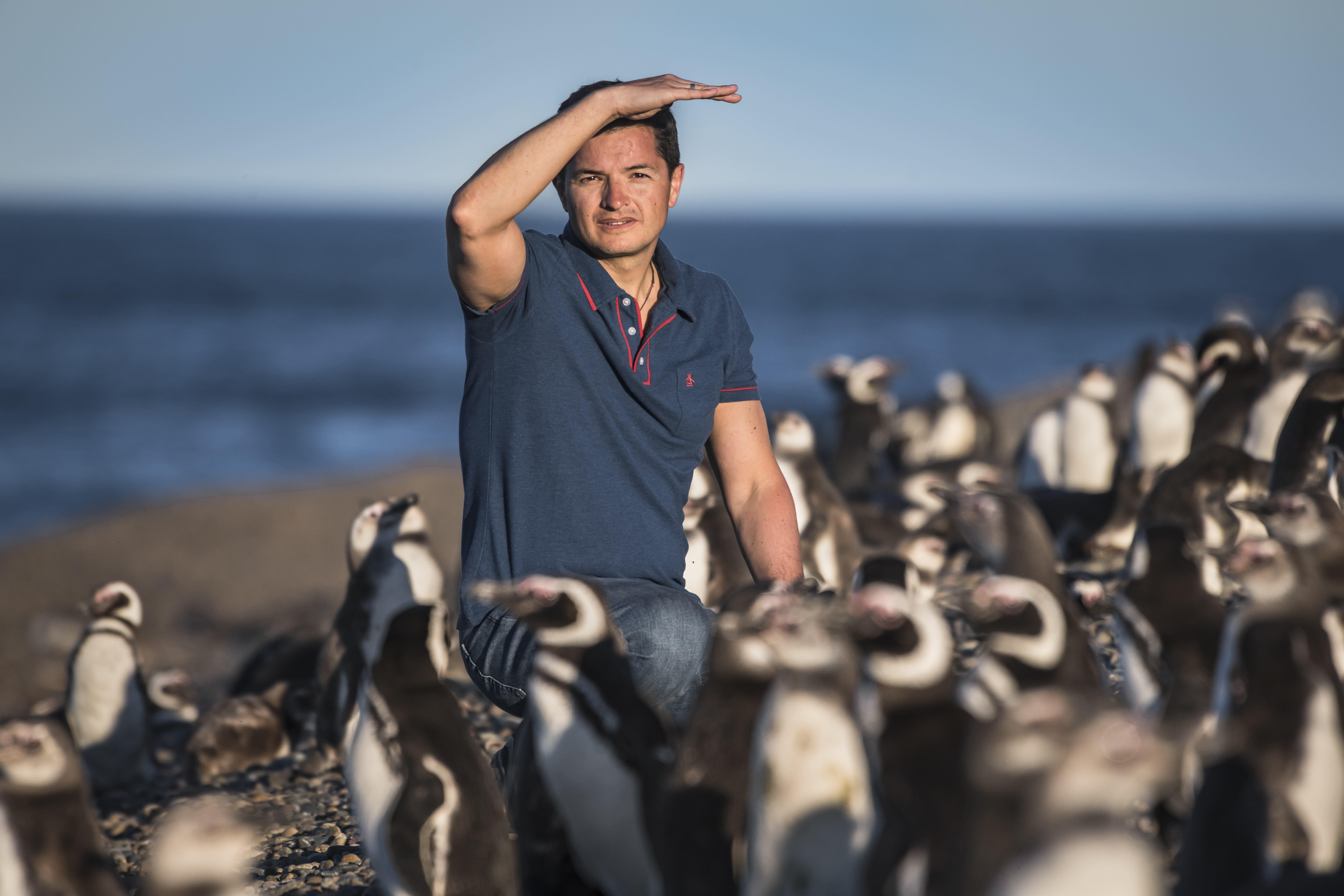 Pablo García Borboroglu es fundador y Presidente de la Global Penguin Society, que lleva a cabo un programa de educación para miles de chicos en el mundo/Global Penguin Society