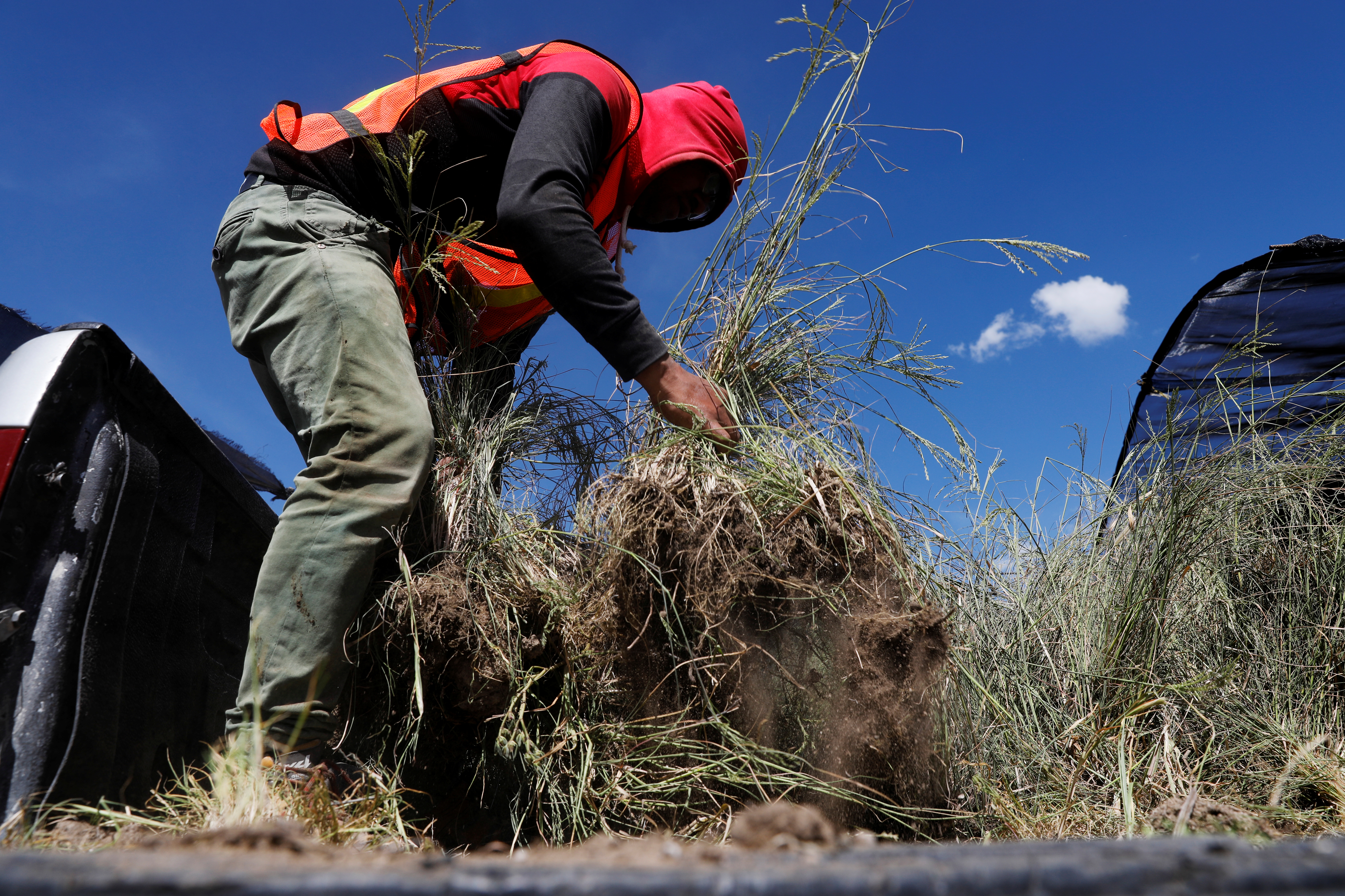 Un trabajador prepara plantas nativas en el centro de jardinería cerca de la zona cancelada del aeropuerto como parte de un proyecto para conservar 12,200 hectáreas de tierra en Texcoco, en las afueras de la Ciudad de México, México, 3 de septiembre de 2020. Fotografía tomada el 3 de septiembre de 2020.