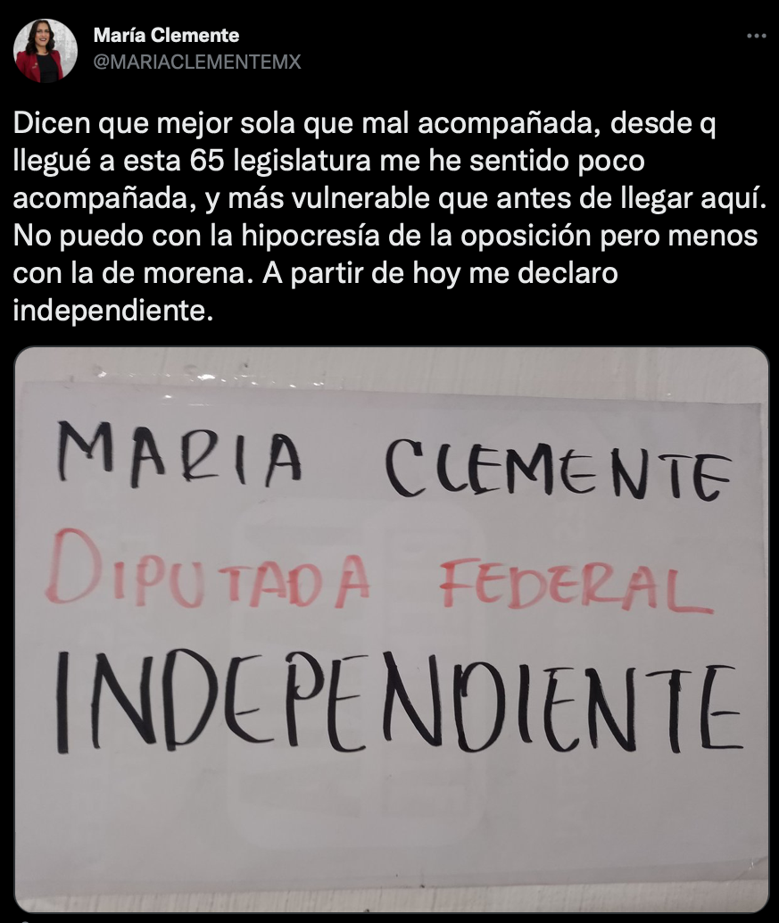 La diputada María Clemente abandonó Morena: “Mejor sola que mal acompañada”  - Infobae
