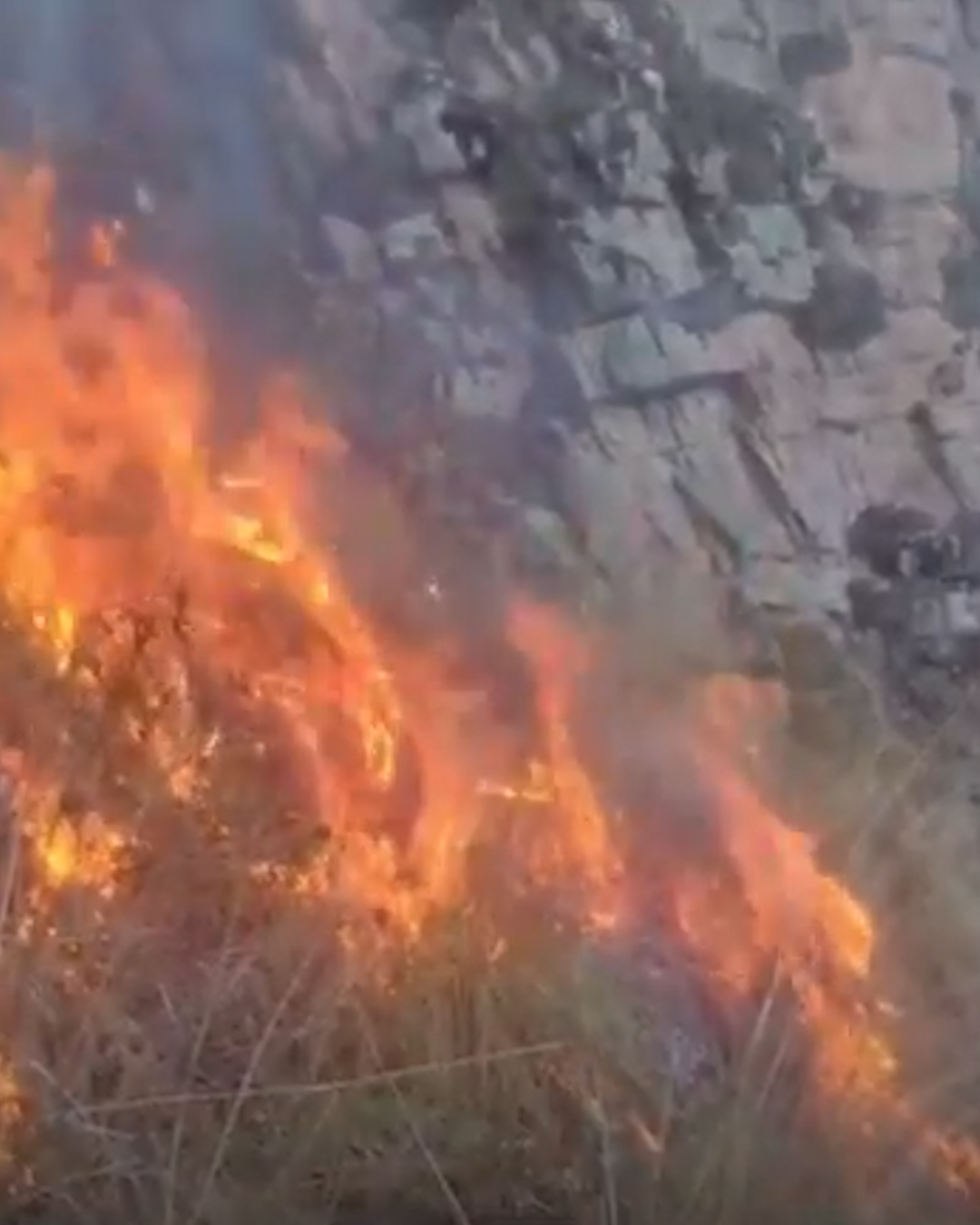 Vecinos intentaron ahuyentar a un puma con fuego y causaron un incendio que ya quem&oacute; 40 hect&aacute;reas