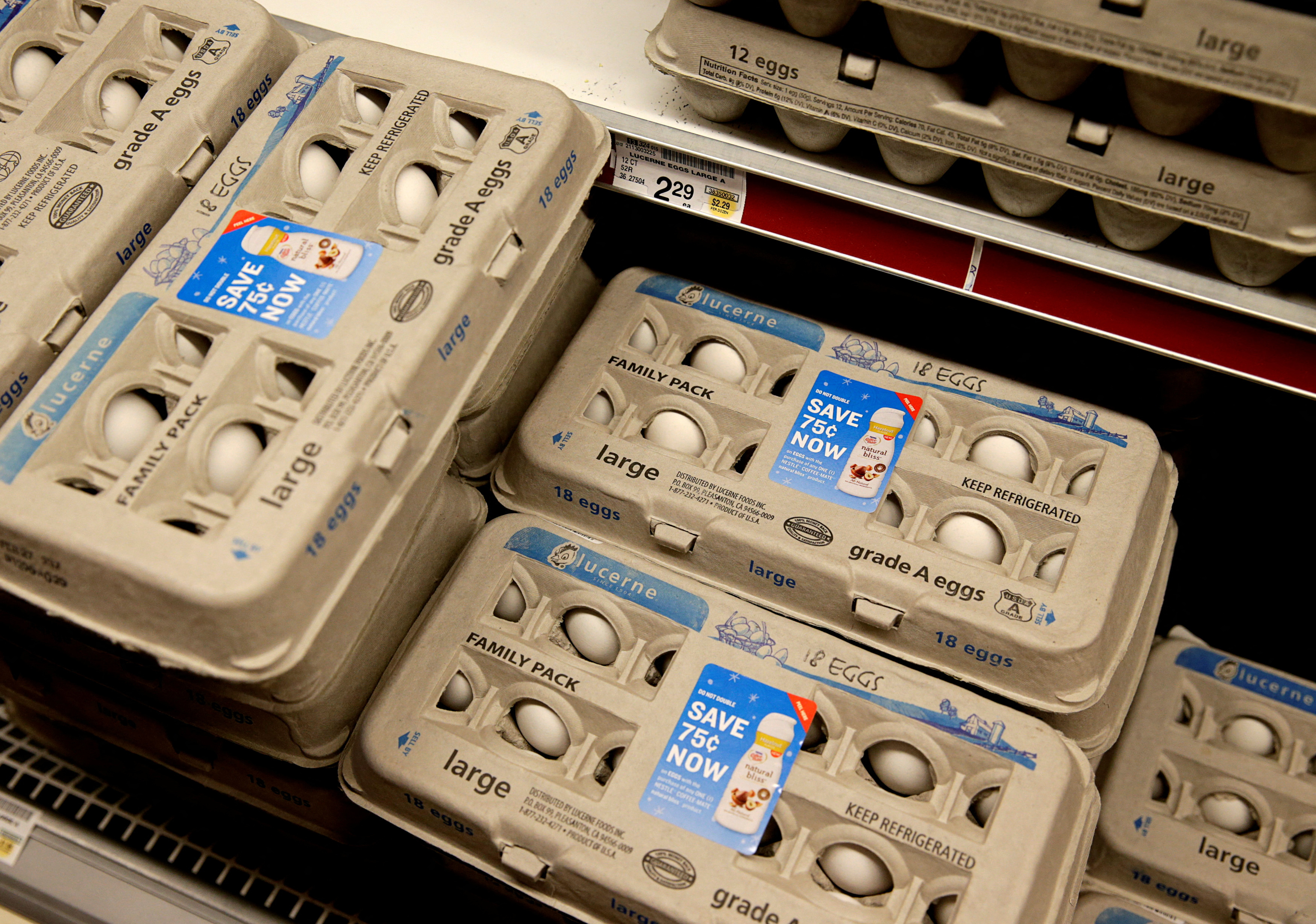 La gripe aviar es el origen de la escasez   (REUTERS/Gary Cameron)