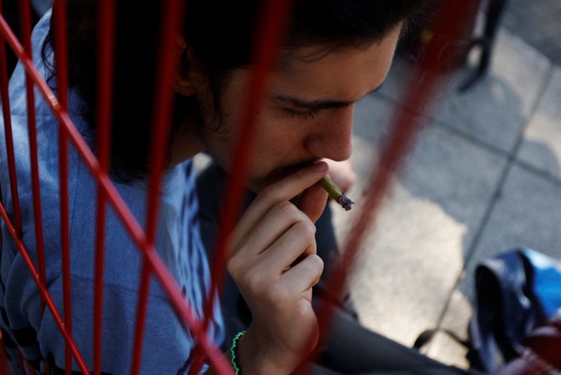 El dictamen aprobado permite la posesión de hasta ocho plantas de cannabis en casa, con ciertas medidas (Foto: Carlos Jasso/ Reuters)