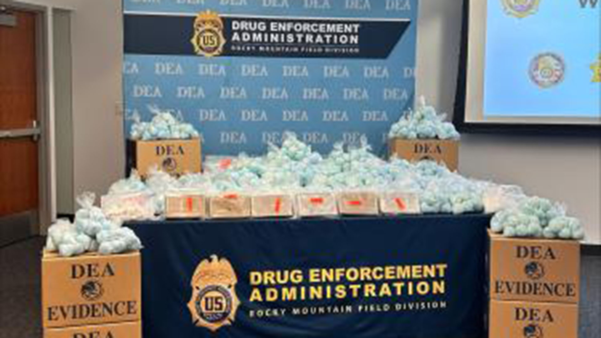 7 libros juveniles de autores argentinos para leer en vacaciones de verano