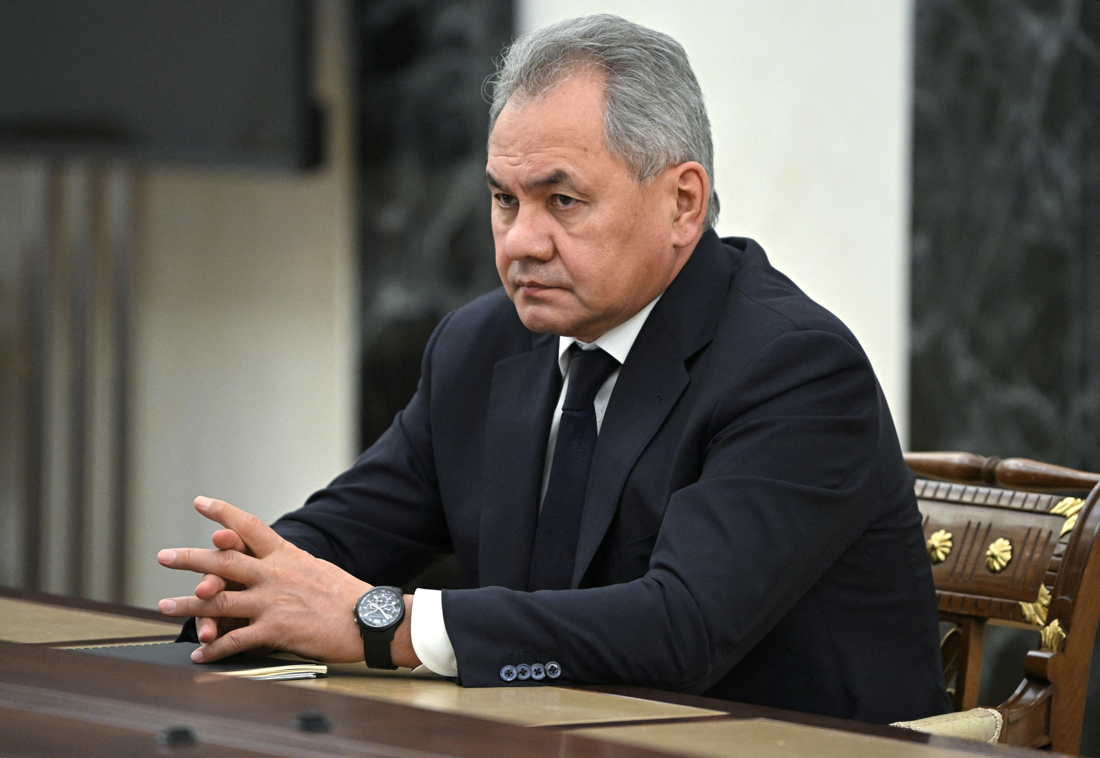 el ministro de Defensa ruso, Sergei Shoigu