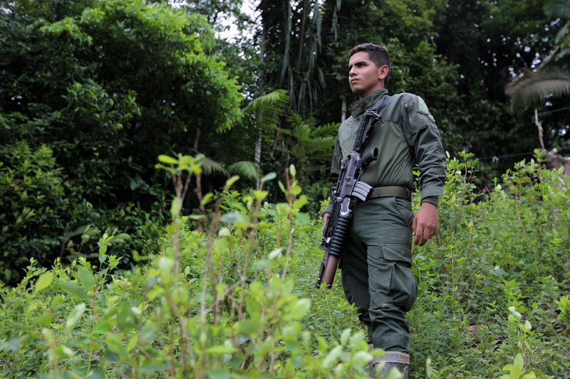FOTO DE ARCHIVO.  Un policía anti narcóticos vigila un cultivo de hoja de coca durante un operativo de erradicación en Tumaco, Colombia. Febrero, 2020.  REUTERS/Luisa Gonzalez