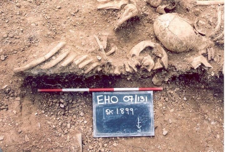 Los vikingos padecían viruela y pudieron haber ayudado a propagar el virus más mortal del mundo (Europa Press)