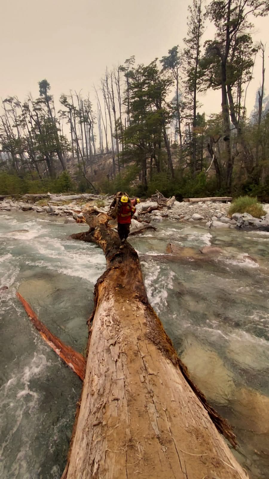 Video: un limpiavidrios protagonizó una pelea callejera y rompió un patrullero cuando se lo llevaban detenido
