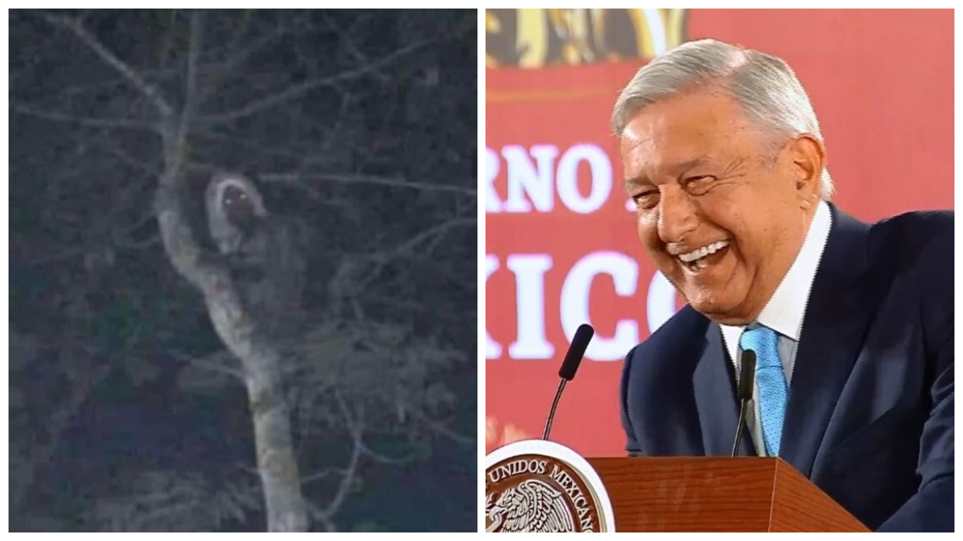 Presidente de México comparte imagen real de un duende