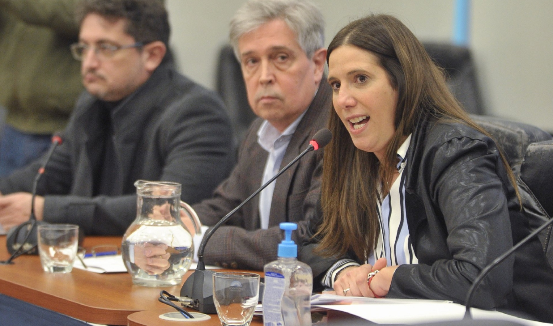 Marisa Uceda, presidenta de la Comisión de Previsión Social