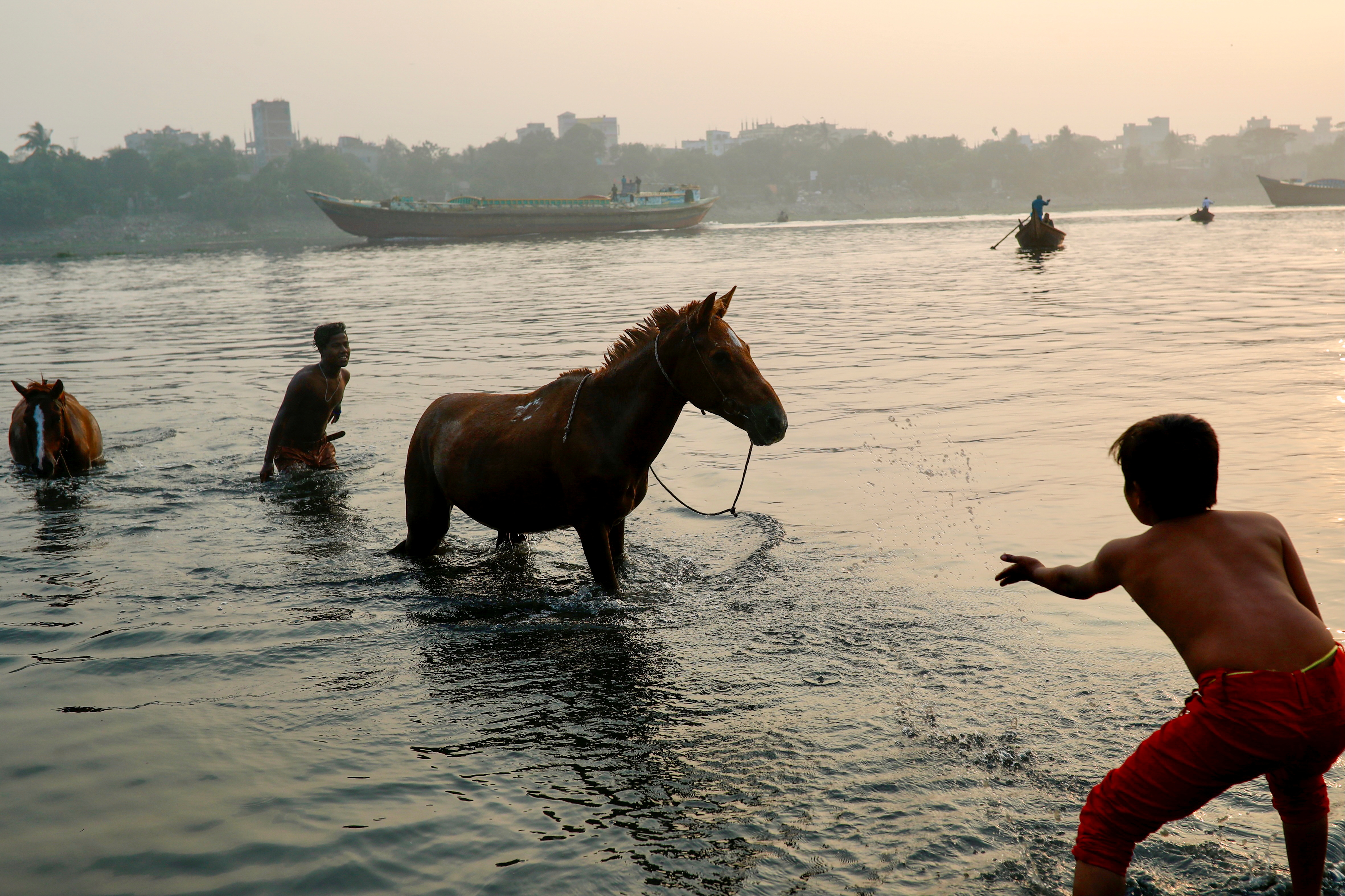 Al menos 21 de los 90 caballos utilizados por los turistas en la playa murieron el mes pasado, mientras que otros estaban desnutridos (Reuters)