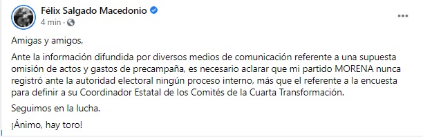 Félix Salgado Macedonio (Facebook: Félix Salgado Macedonio)