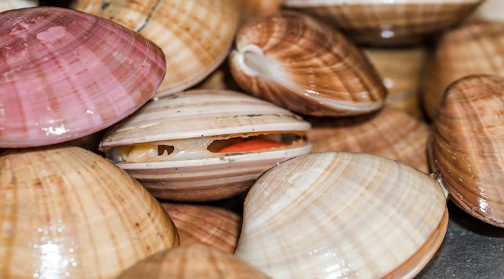 El Atlántico Norte en alerta: un nuevo estudio advierte un inminente punto de inflexión climático 