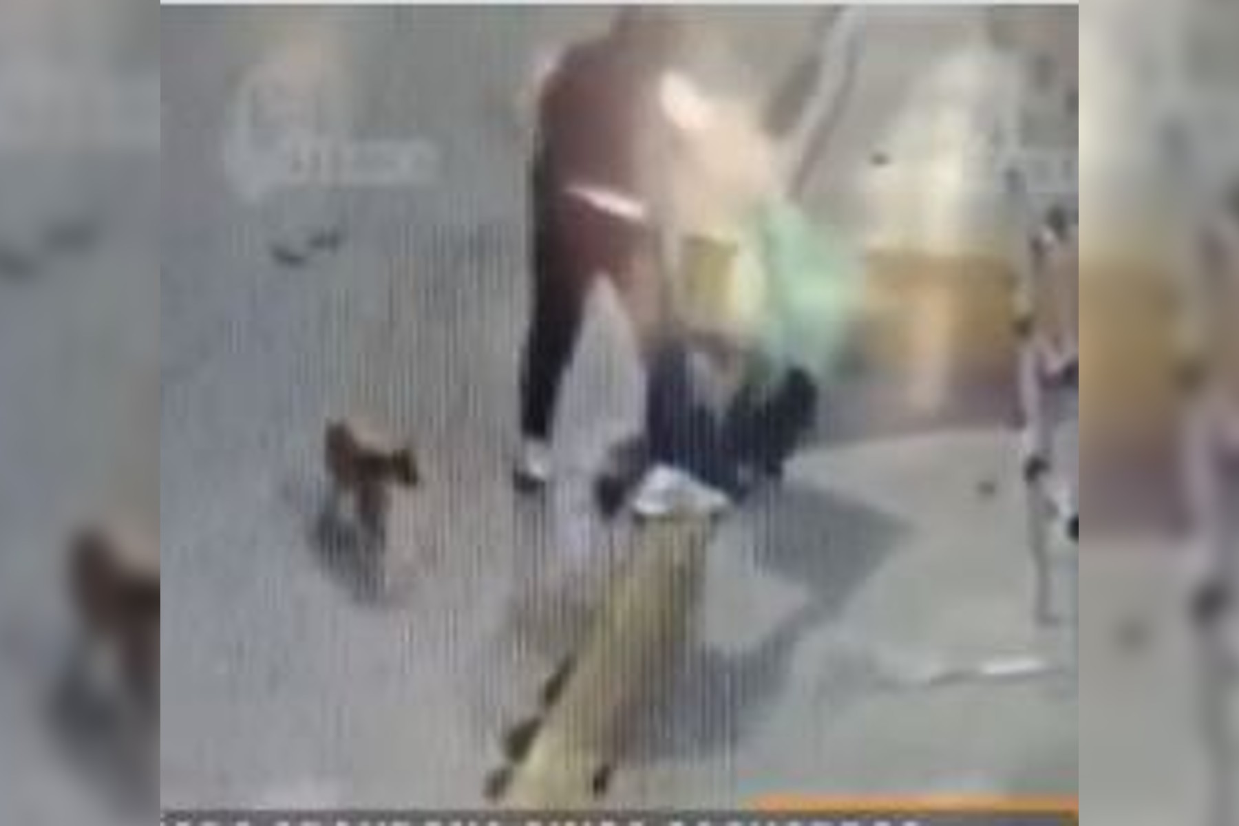 Indignó video de mujer abandonando cachorros en Chimalhuacán; la buscan para denunciarla