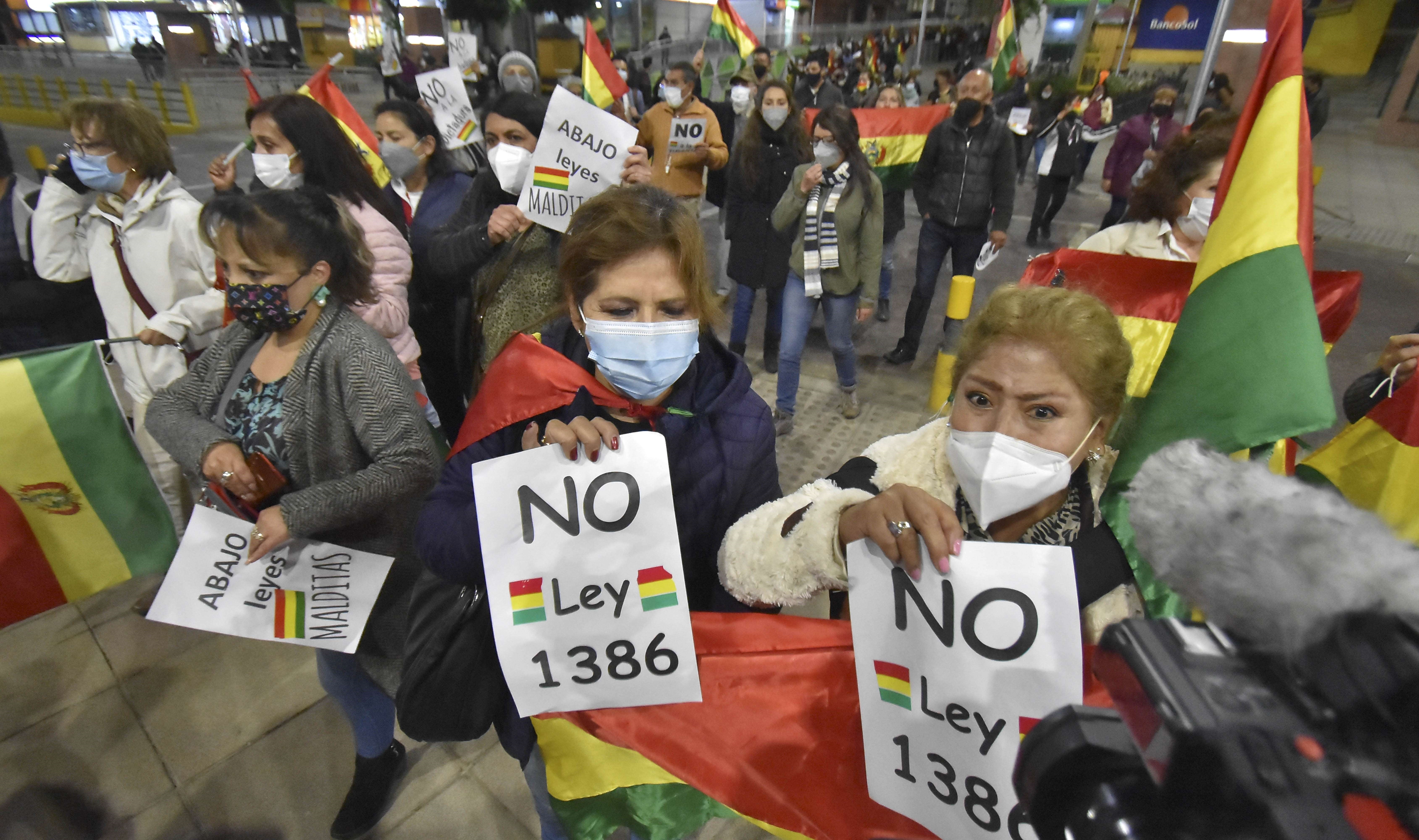 Manifestantes participan en una protesta en La Paz (EFE/Stringer)
