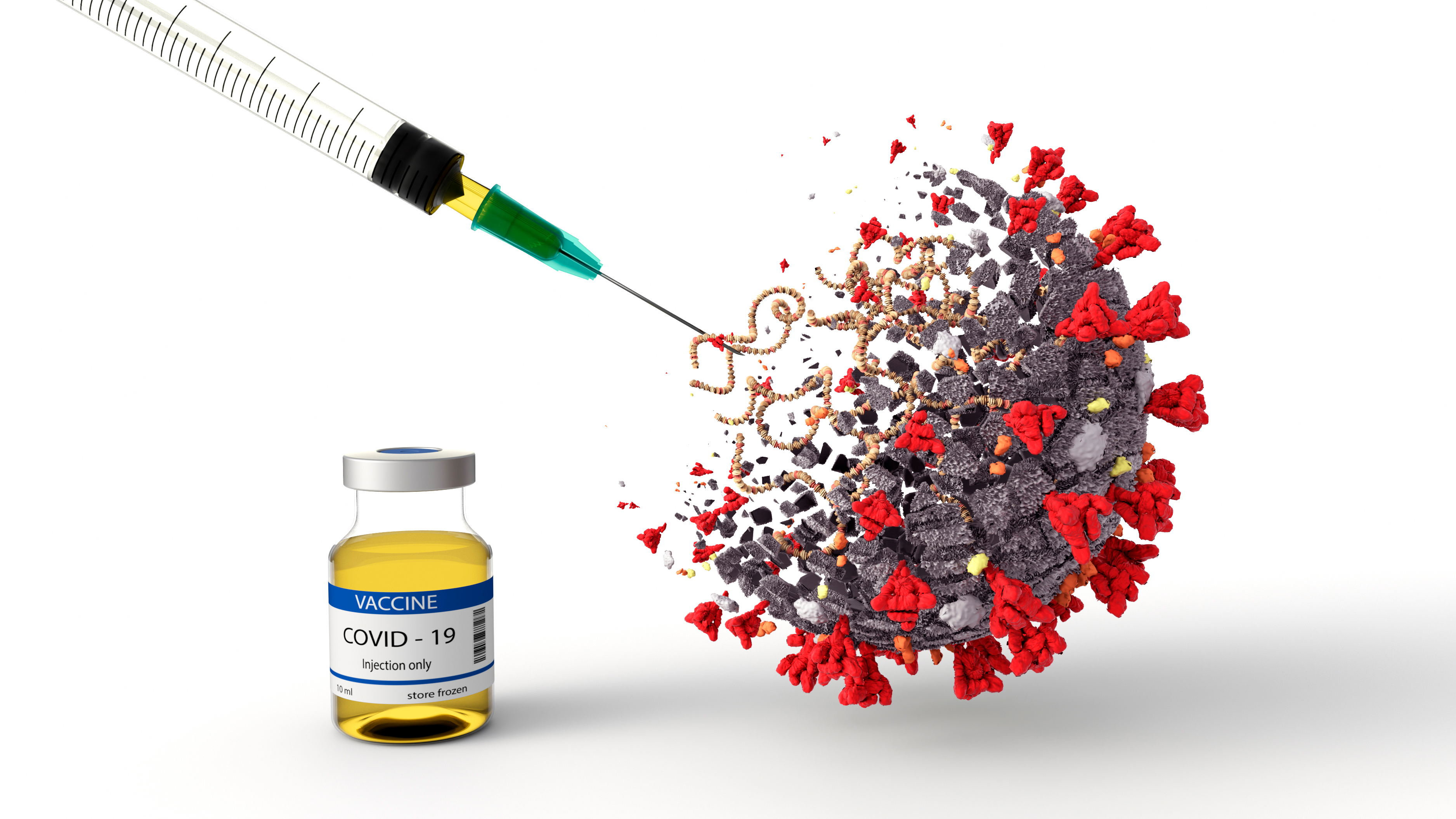 La nueva cepa derivada del visón podría alterar la eficacia de la vacuna contra el COVID-19 a futuro, si esta versión del virus SARS-CoV-2 no se controla y se propaga a gran velocidad (Shutterstock)