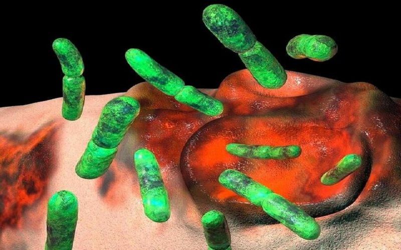 Aumentaron los contagios en el Reino Unido de una rara bacteria “comecarne”  que se transmite sexualmente - Infobae