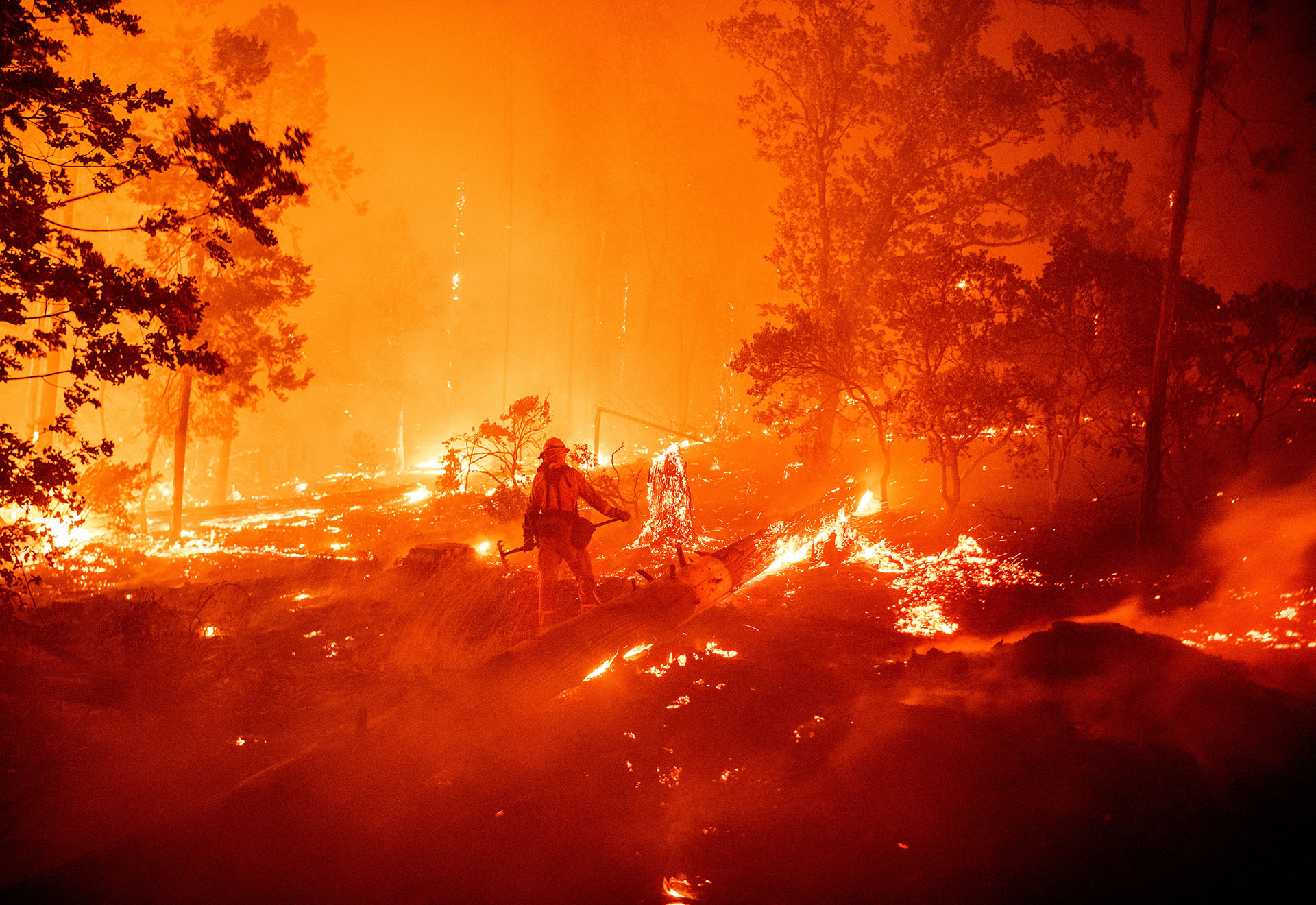 El incendio más devastador, que se inició el viernes, es el fuego de Creek -como ha sido bautizado por el Departamento Forestal y de Protección contra Incendios de California (Cal Fire) - ya ha quemado 32.000 hectáreas y las diez dotaciones de bomberos que trabajan en él aún no han logrado ningún avance en las tareas de contención. (JOSH EDELSON / AFP)