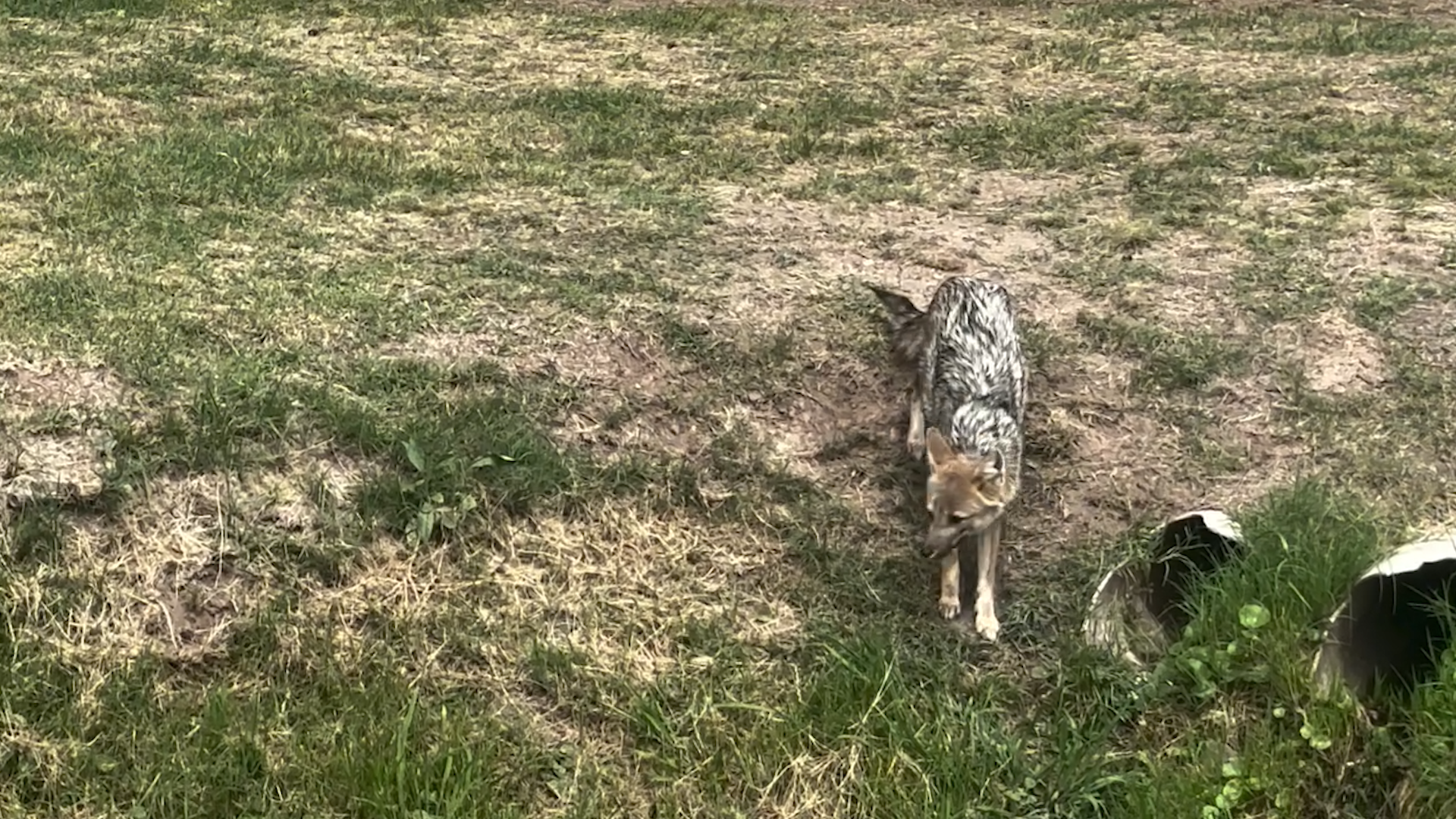 Juan Sebastián Verón decidió viajar a Santiago del Estero para ver desde la tribuna la final entre Estudiantes y Racing