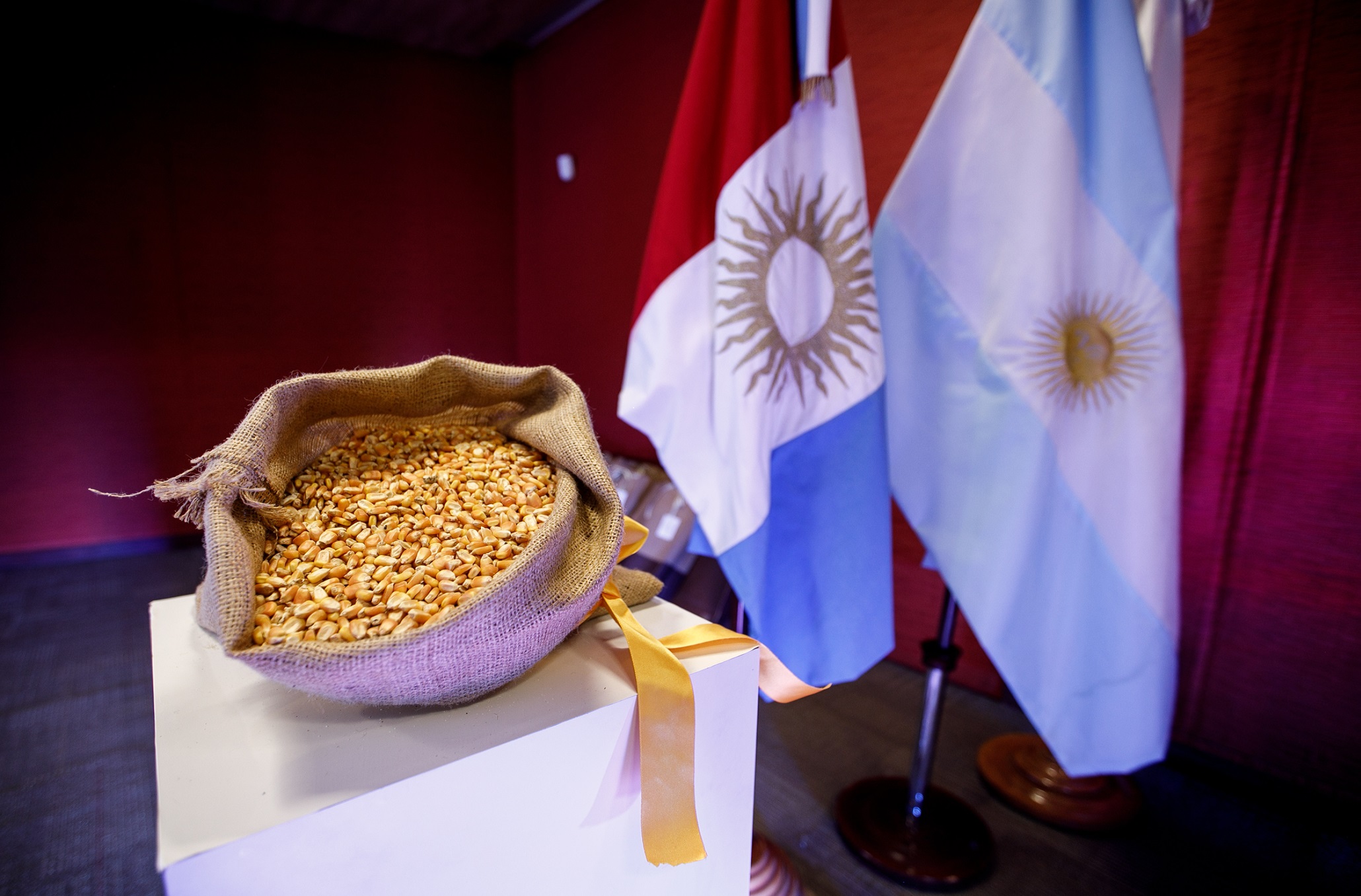 Por qué, pese al "gusano cogollero" y la "chicharrita", la Argentina pasó a dominar el mercado mundial de maíz
