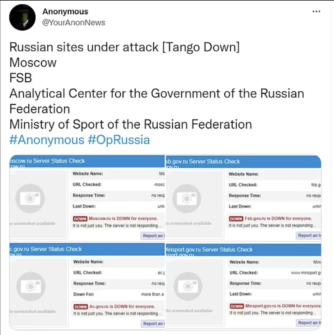 Los hackers también atacaron varios sitios oficiales del Gobierno ruso.