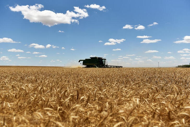 La Rural reclamó al Gobierno “señales claras” de cara a la próxima siembra de trigo